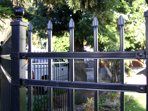 Wrought Iron Fence